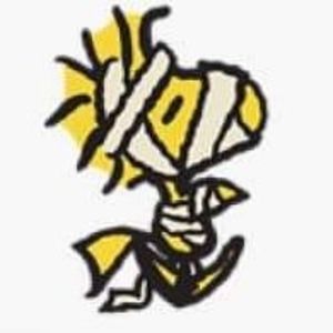 Meet your Posher, Denise lowe